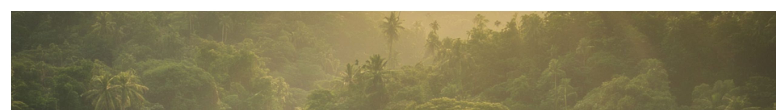 Banner 2 Scaled