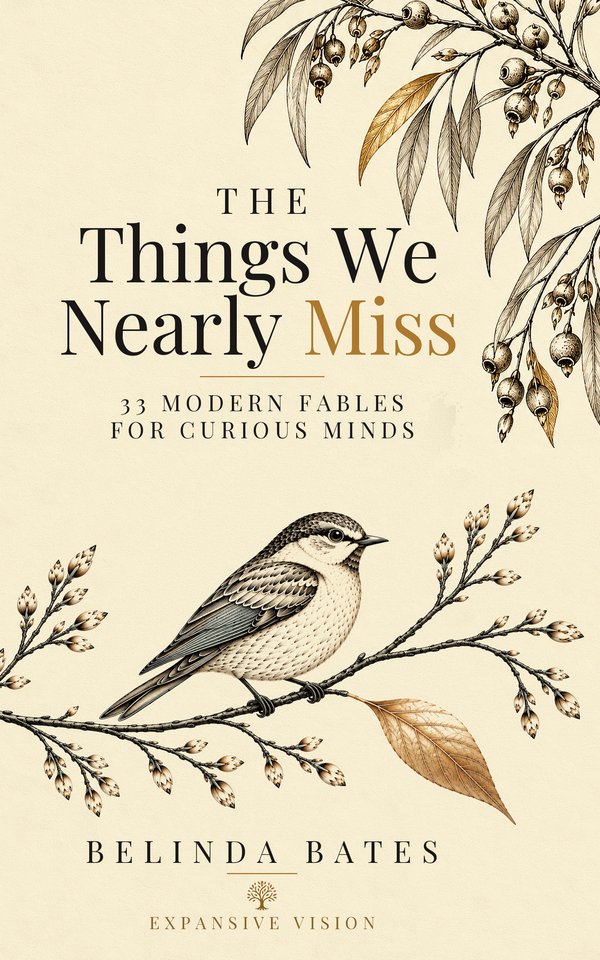 The Things We Nearly Miss book cover